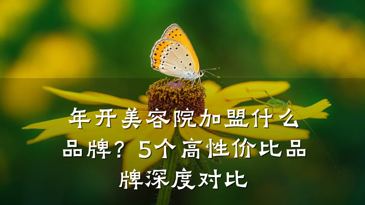 年开美容院加盟什么品牌?5个高性价比品牌深度对比