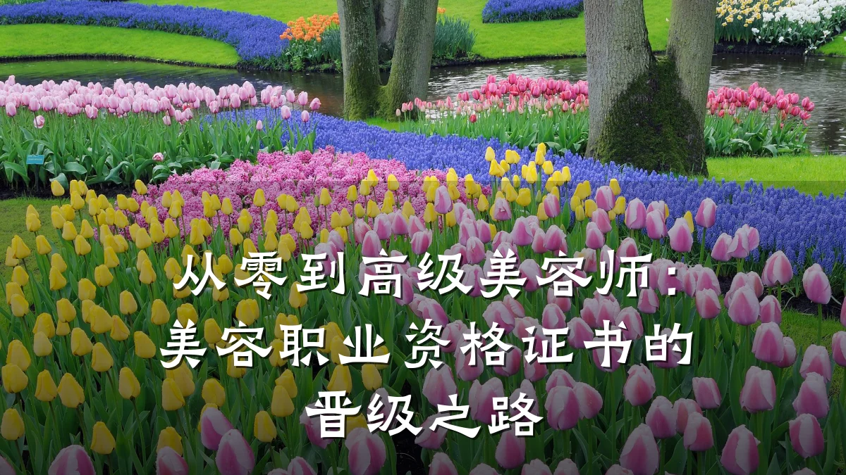 从零到高级美容师:美容职业资格证书的晋级之路