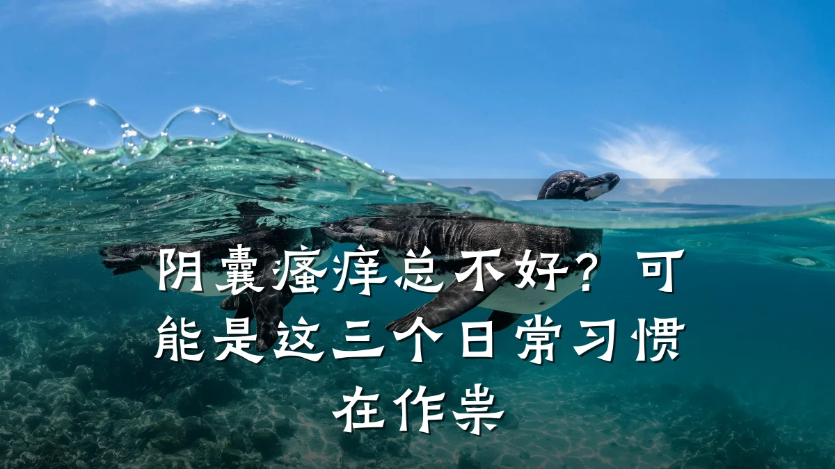 阴囊瘙痒总不好?可能是这三个日常习惯在作祟