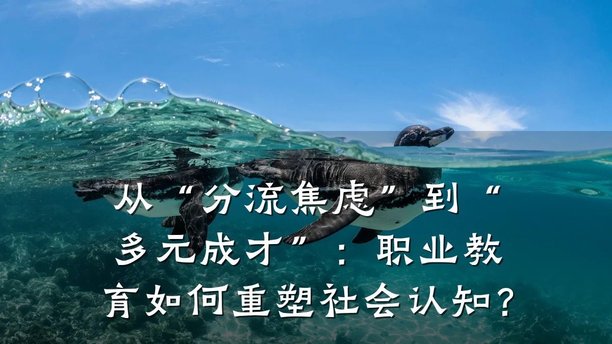 从“分流焦虑”到“多元成才”：职业教育如何重塑社会认知？