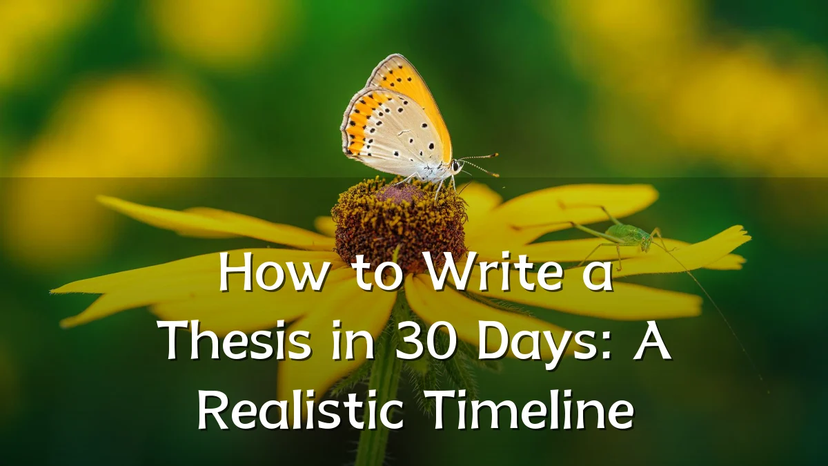 How to Write a Thesis in 30 Days: A Realistic Timeline