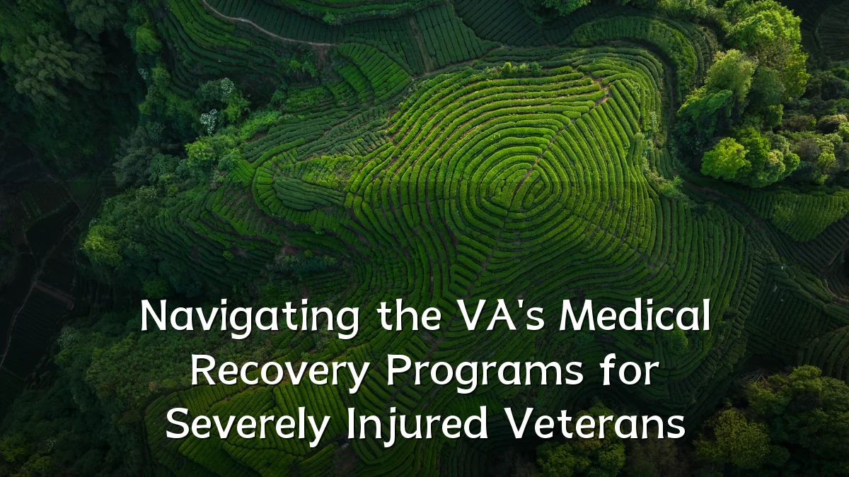 Navigating the VA's Medical Recovery Programs for Severely Injured Veterans