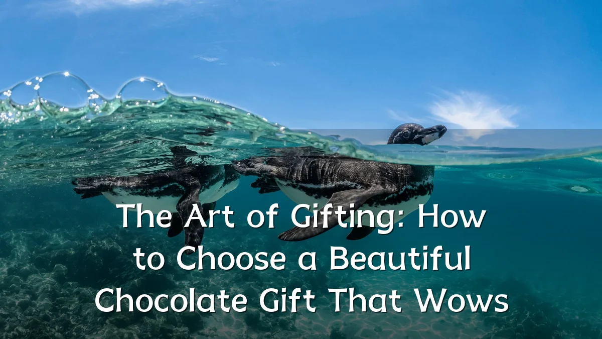 The Art of Gifting: How to Choose a Beautiful Chocolate Gift That Wows