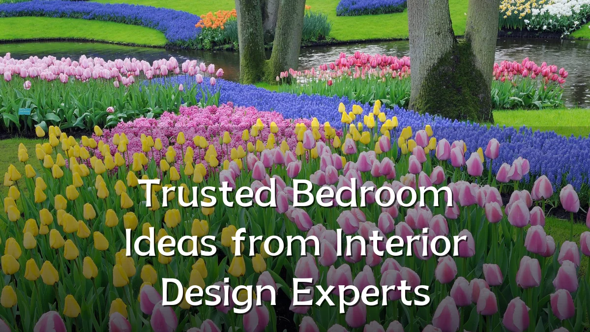 Trusted Bedroom Ideas from Interior Design Experts