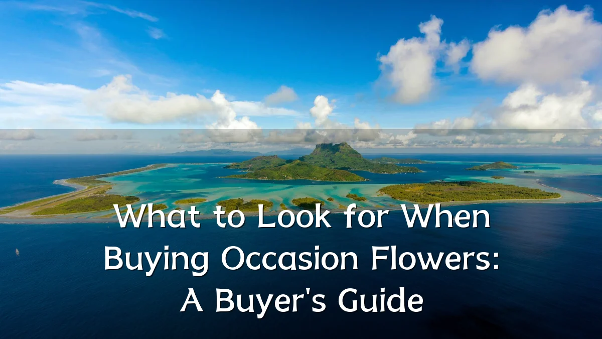 What to Look for When Buying Occasion Flowers: A Buyer's Guide