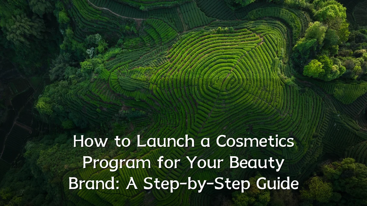 How to Launch a Cosmetics Program for Your Beauty Brand: A Step-by-Step Guide