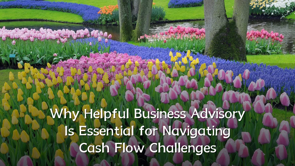 Why Helpful Business Advisory Is Essential for Navigating Cash Flow Challenges