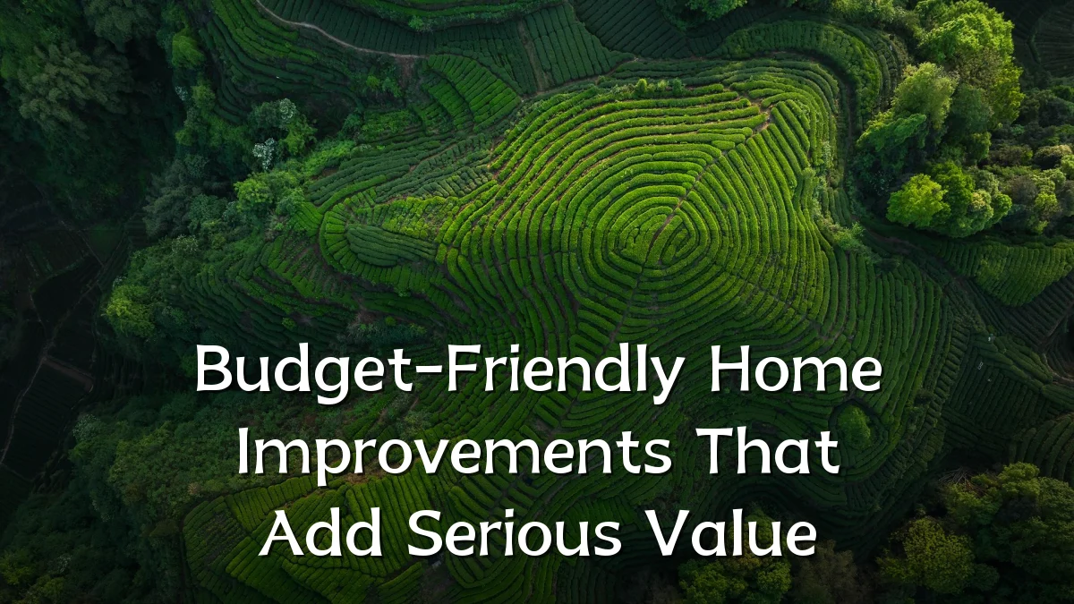 Budget-Friendly Home Improvements That Add Serious Value