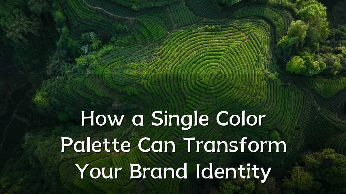 How a Single Color Palette Can Transform Your Brand Identity
