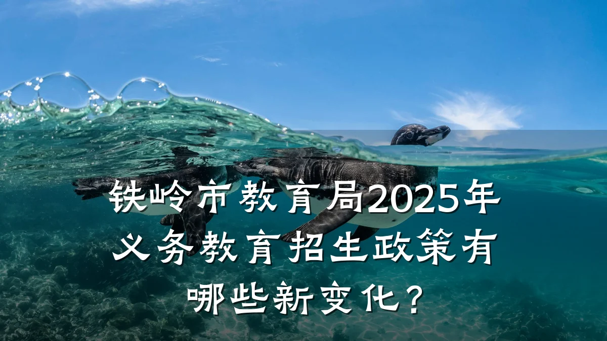 铁岭市教育局2025年义务教育招生政策有哪些新变化？