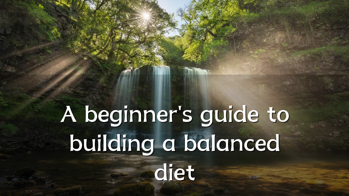 A beginner's guide to building a balanced diet