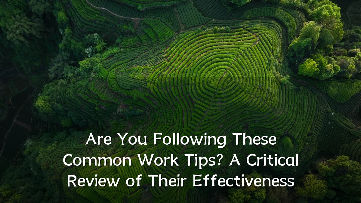 Are You Following These Common Work Tips? A Critical Review of Their Effectiveness
