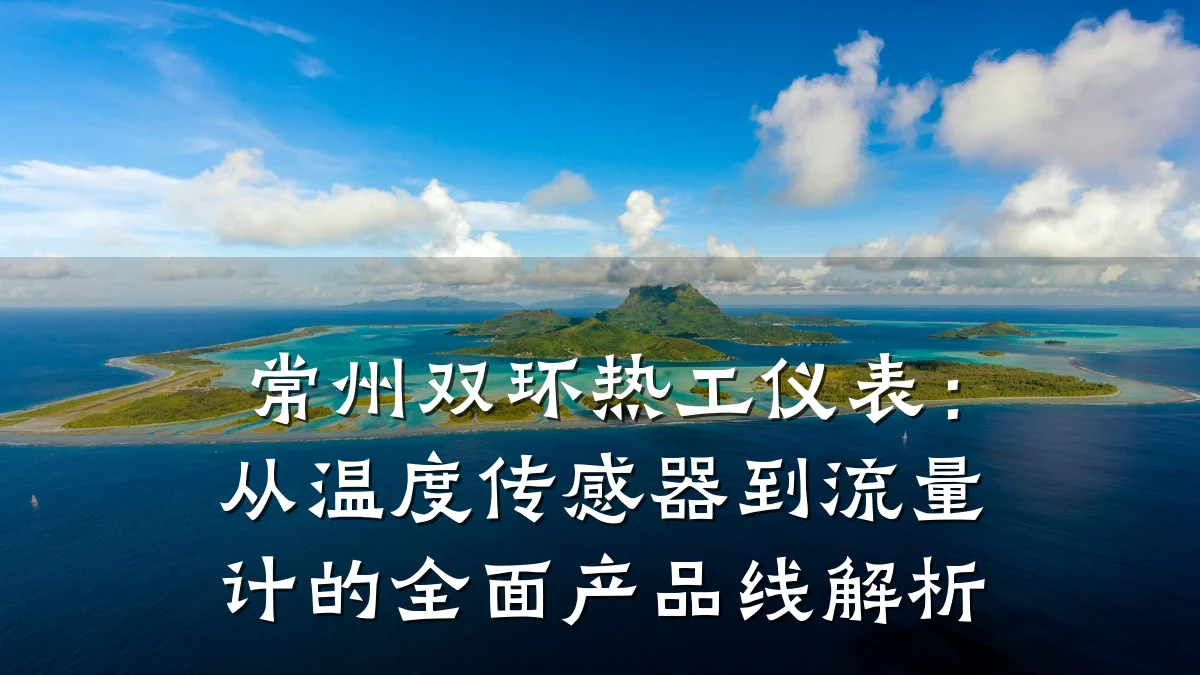 常州双环热工仪表：从温度传感器到流量计的全面产品线解析