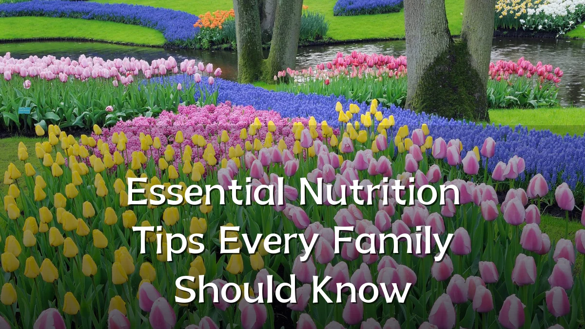 Essential Nutrition Tips Every Family Should Know