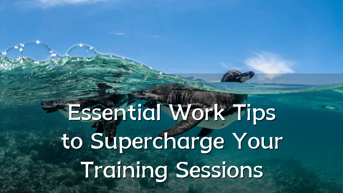 Essential Work Tips to Supercharge Your Training Sessions
