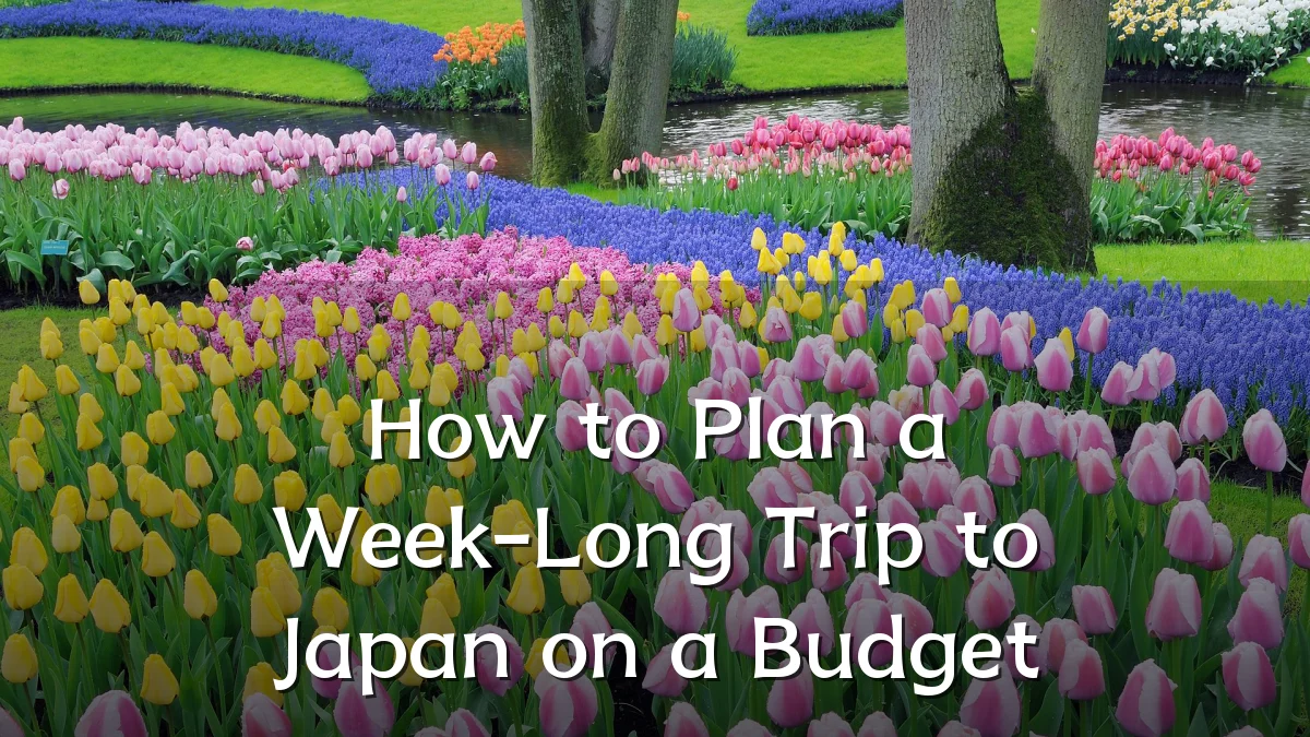 How to Plan a Week-Long Trip to Japan on a Budget
