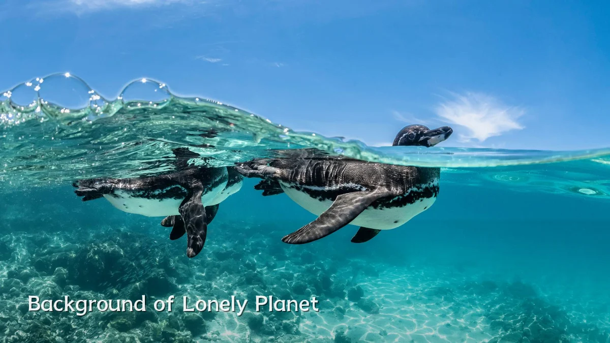 Background of Lonely Planet