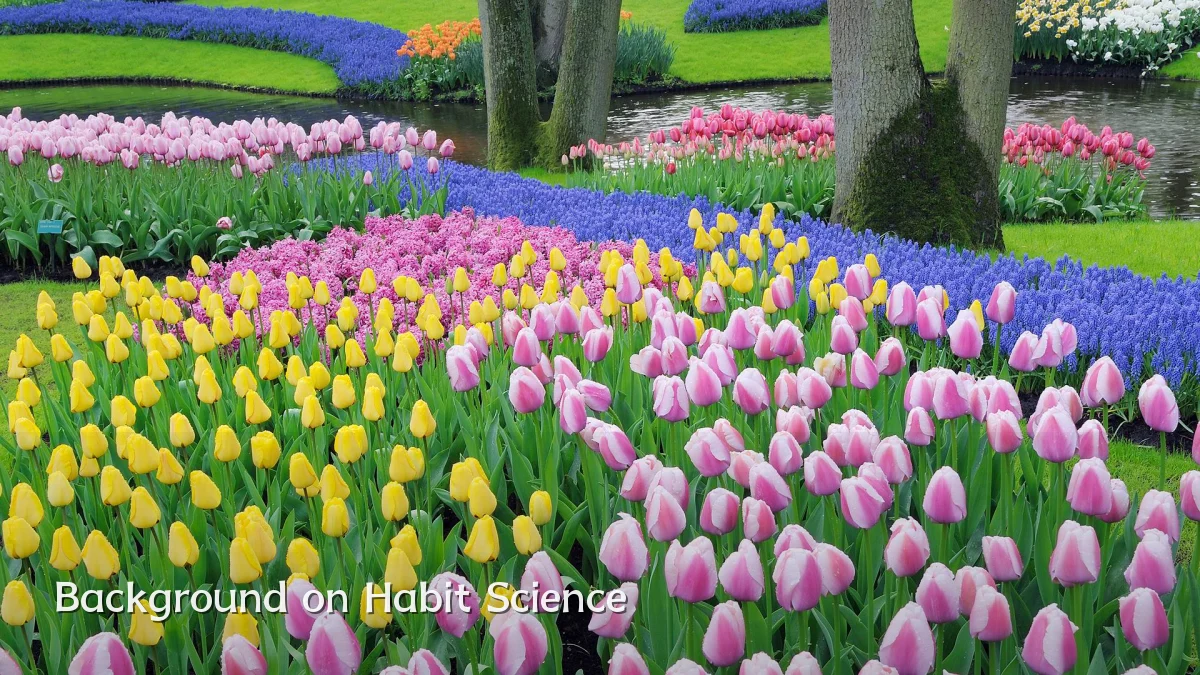 Background on Habit Science