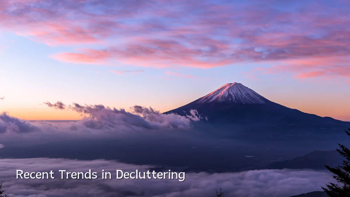 Recent Trends in Decluttering