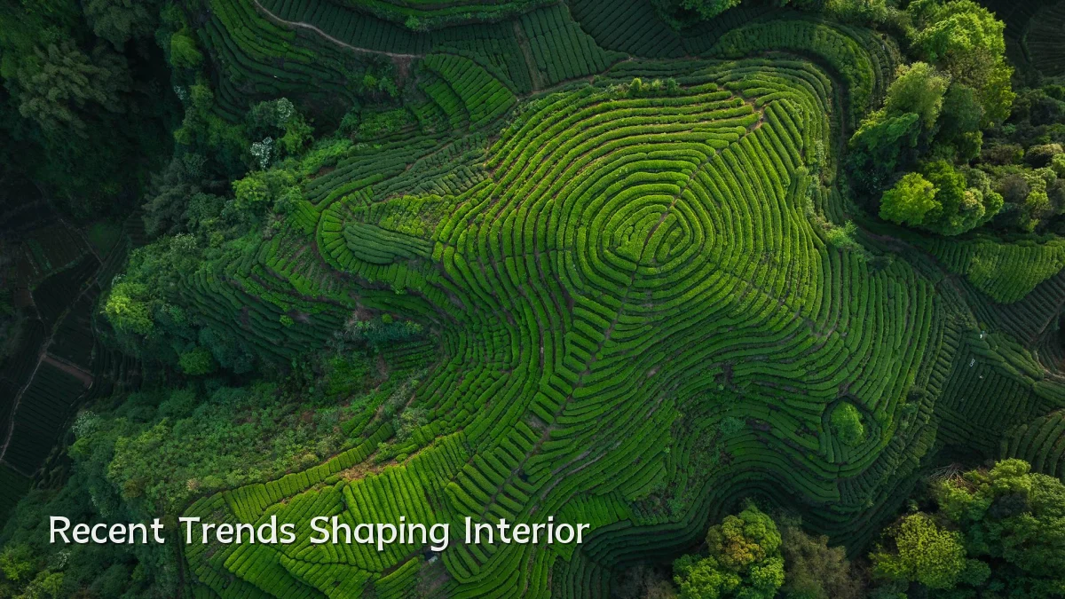 Recent Trends Shaping Interior