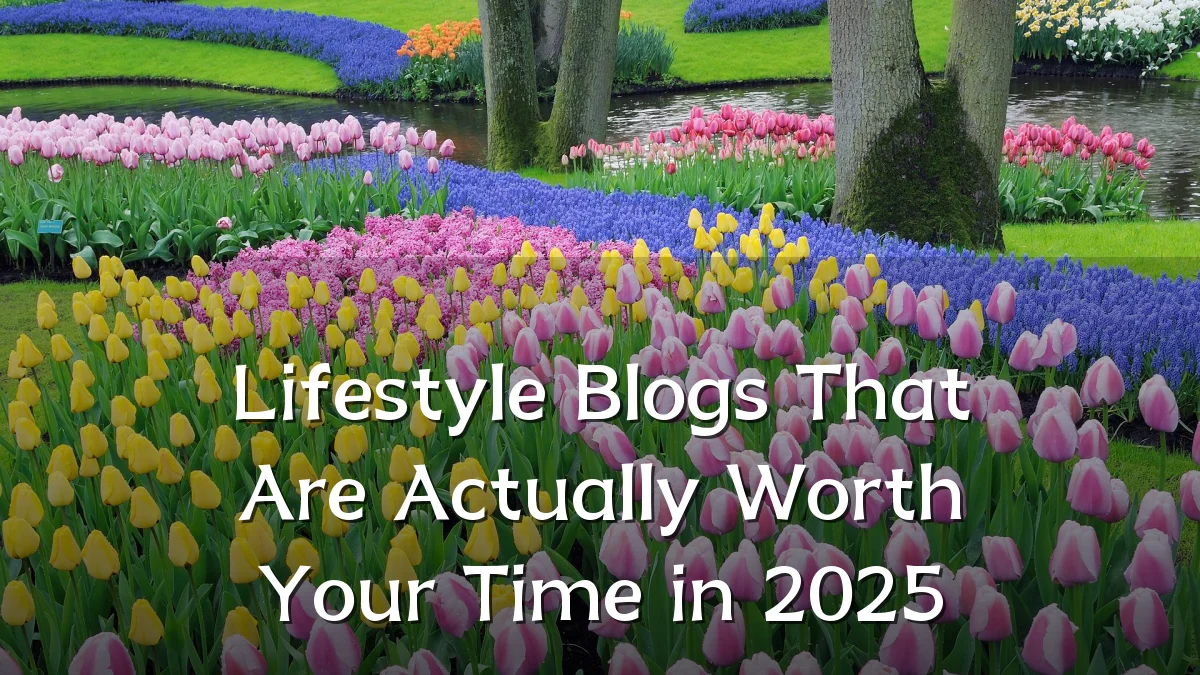 Lifestyle Blogs That Are Actually Worth Your Time in 2025