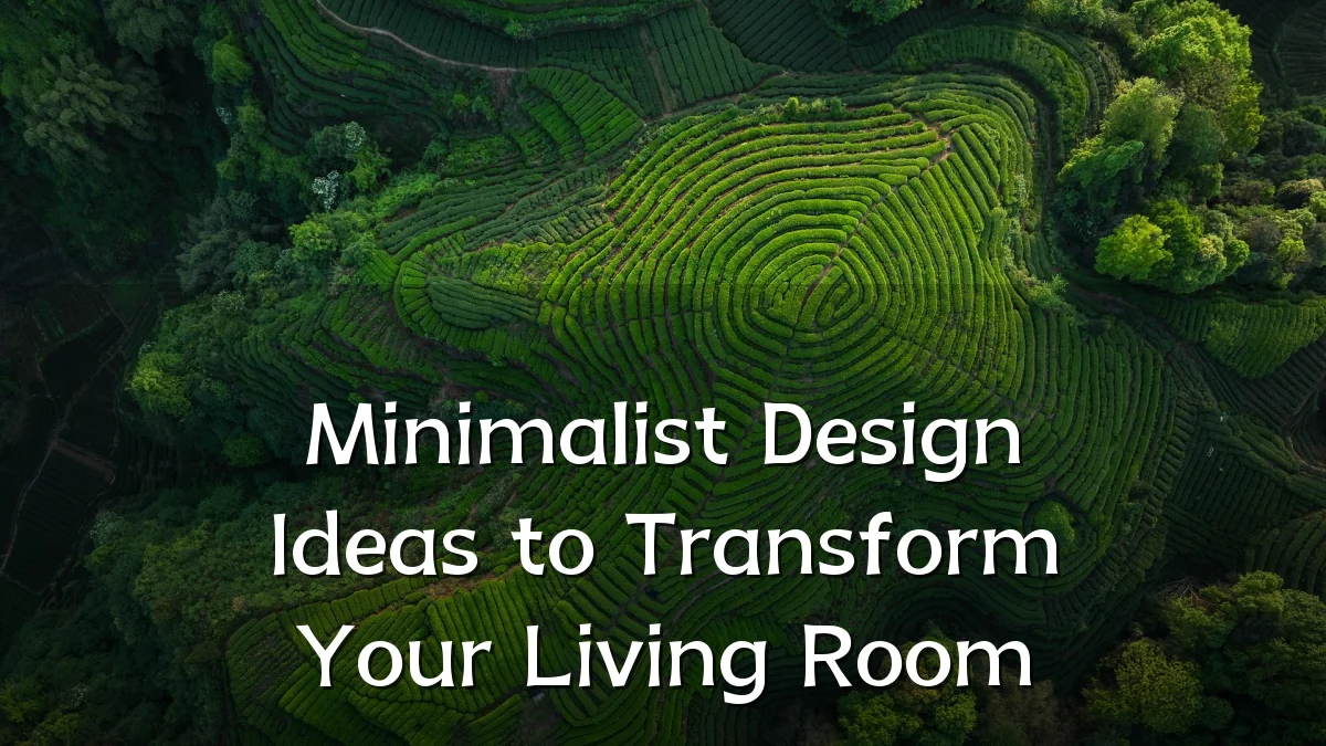 Minimalist Design Ideas to Transform Your Living Room