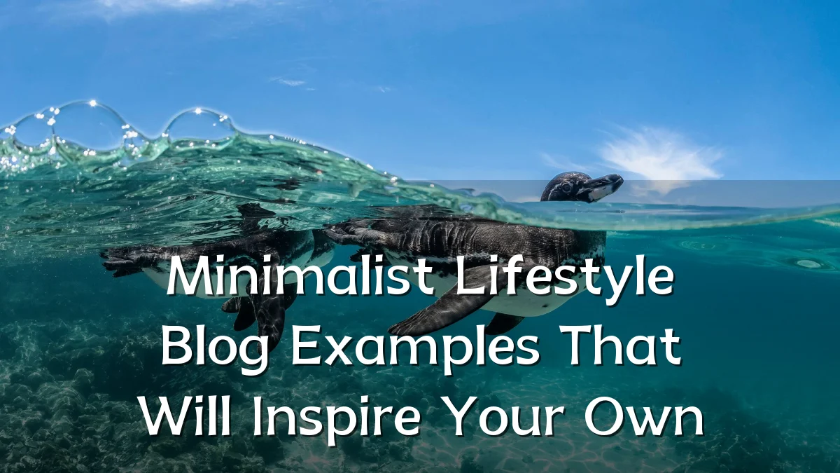 Minimalist Lifestyle Blog Examples That Will Inspire Your Own