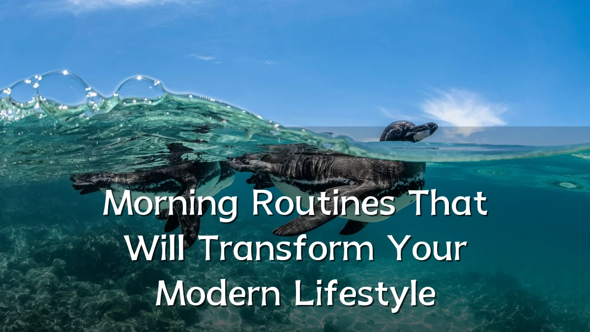 Morning Routines That Will Transform Your Modern Lifestyle