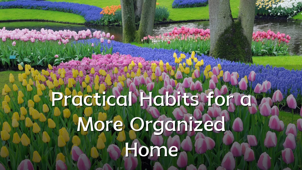 Practical Habits for a More Organized Home