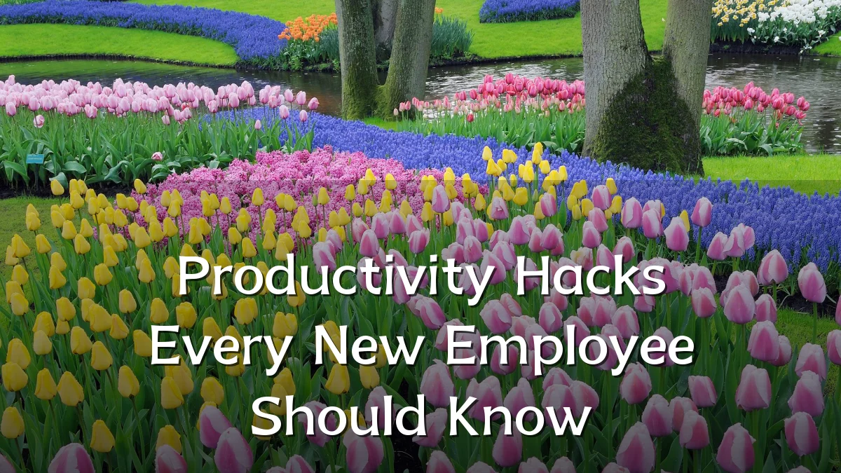 Productivity Hacks Every New Employee Should Know