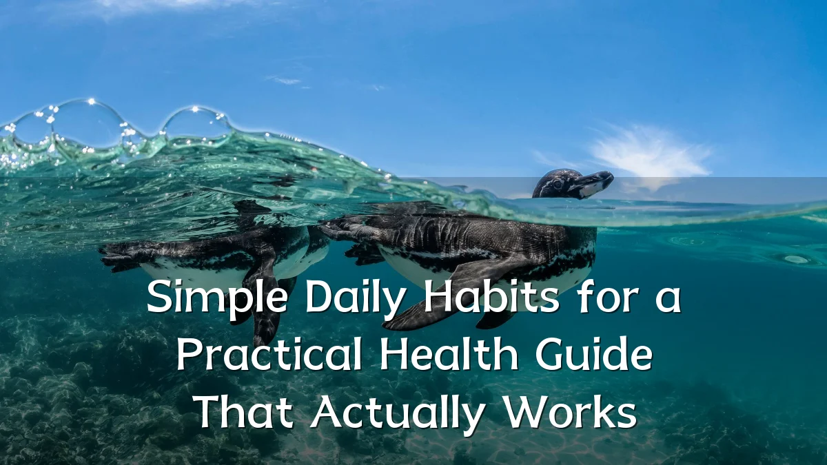 Simple Daily Habits for a Practical Health Guide That Actually Works