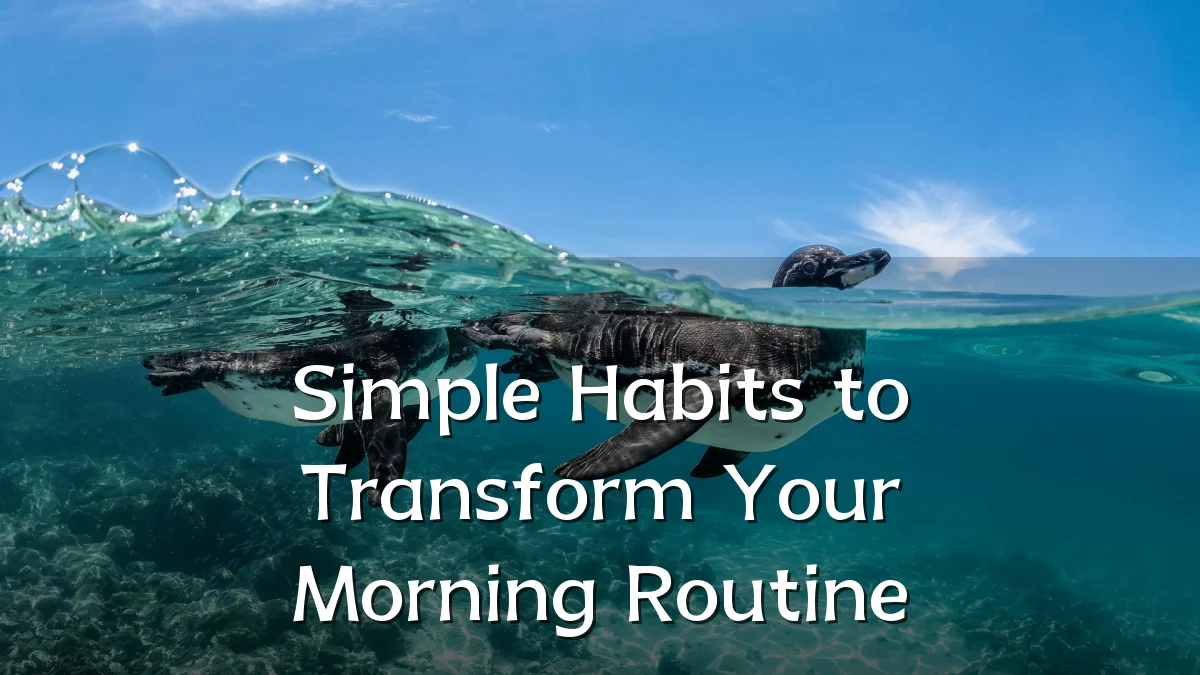 Simple Habits to Transform Your Morning Routine