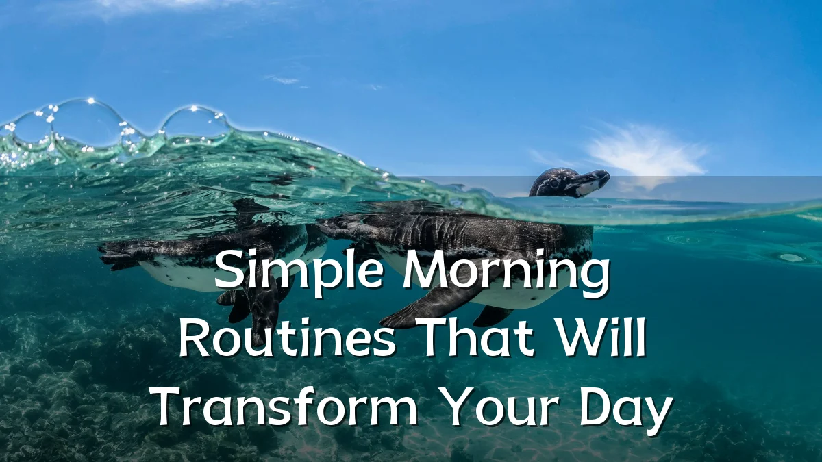 Simple Morning Routines That Will Transform Your Day