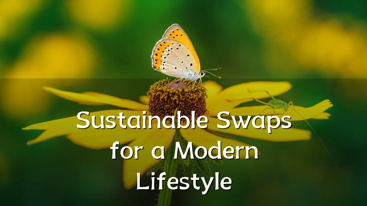 Sustainable Swaps for a Modern Lifestyle