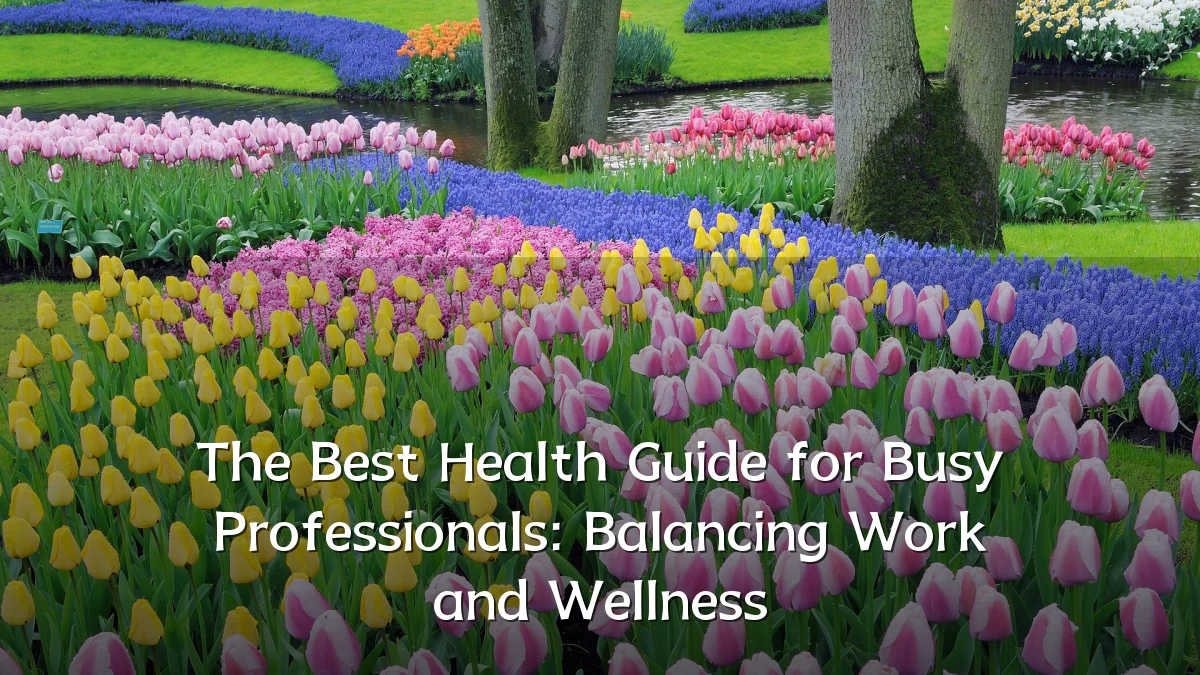 The Best Health Guide for Busy Professionals: Balancing Work and Wellness