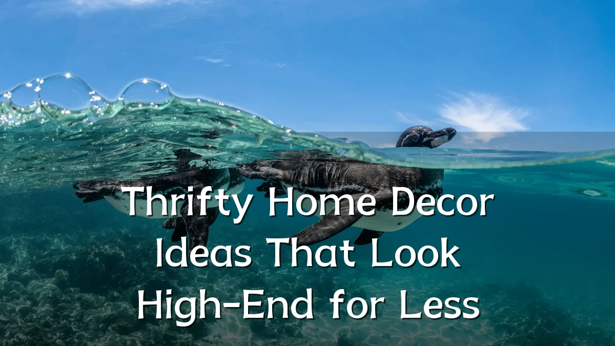 Thrifty Home Decor Ideas That Look High-End for Less
