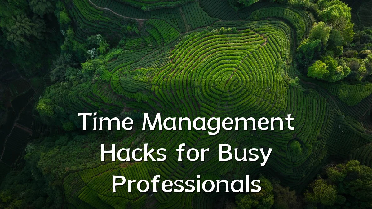 Time Management Hacks for Busy Professionals