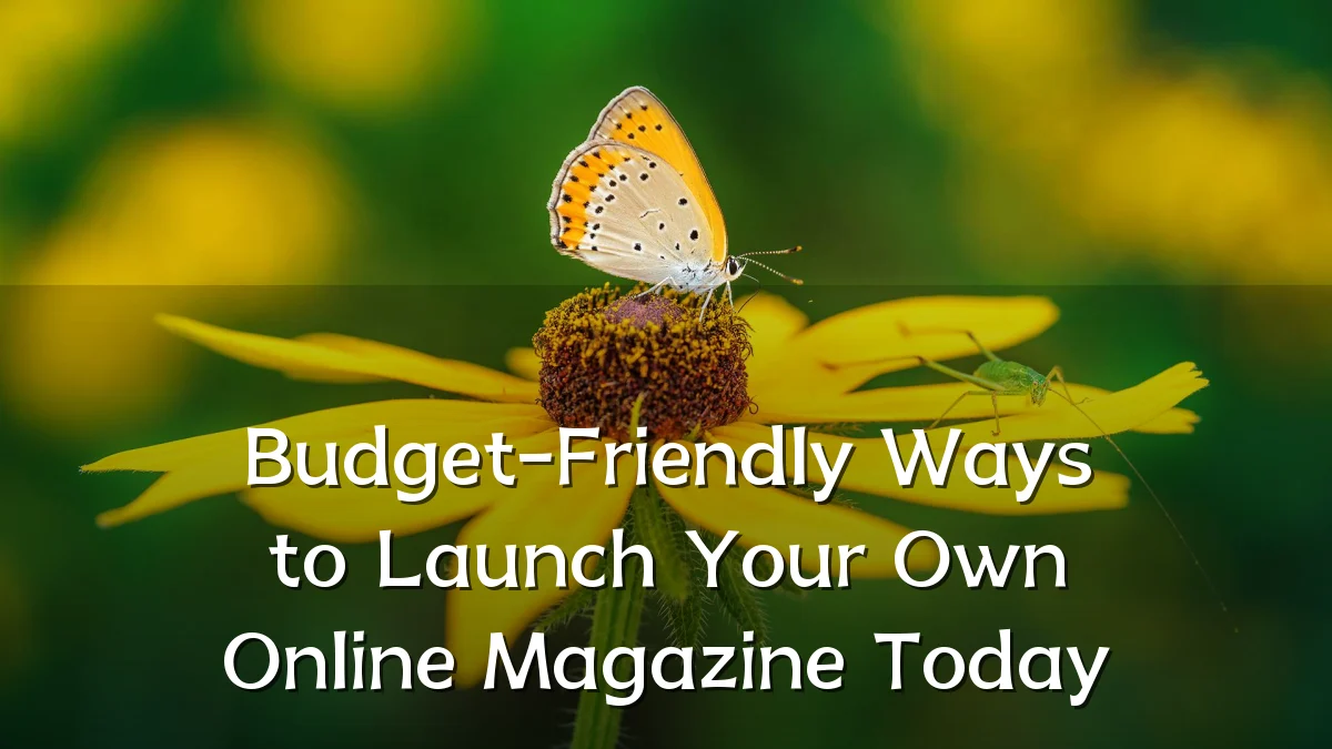 Budget-Friendly Ways to Launch Your Own Online Magazine Today