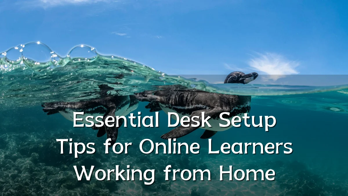 Essential Desk Setup Tips for Online Learners Working from Home