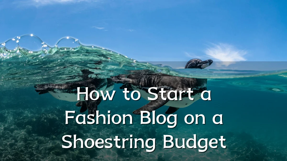 How to Start a Fashion Blog on a Shoestring Budget