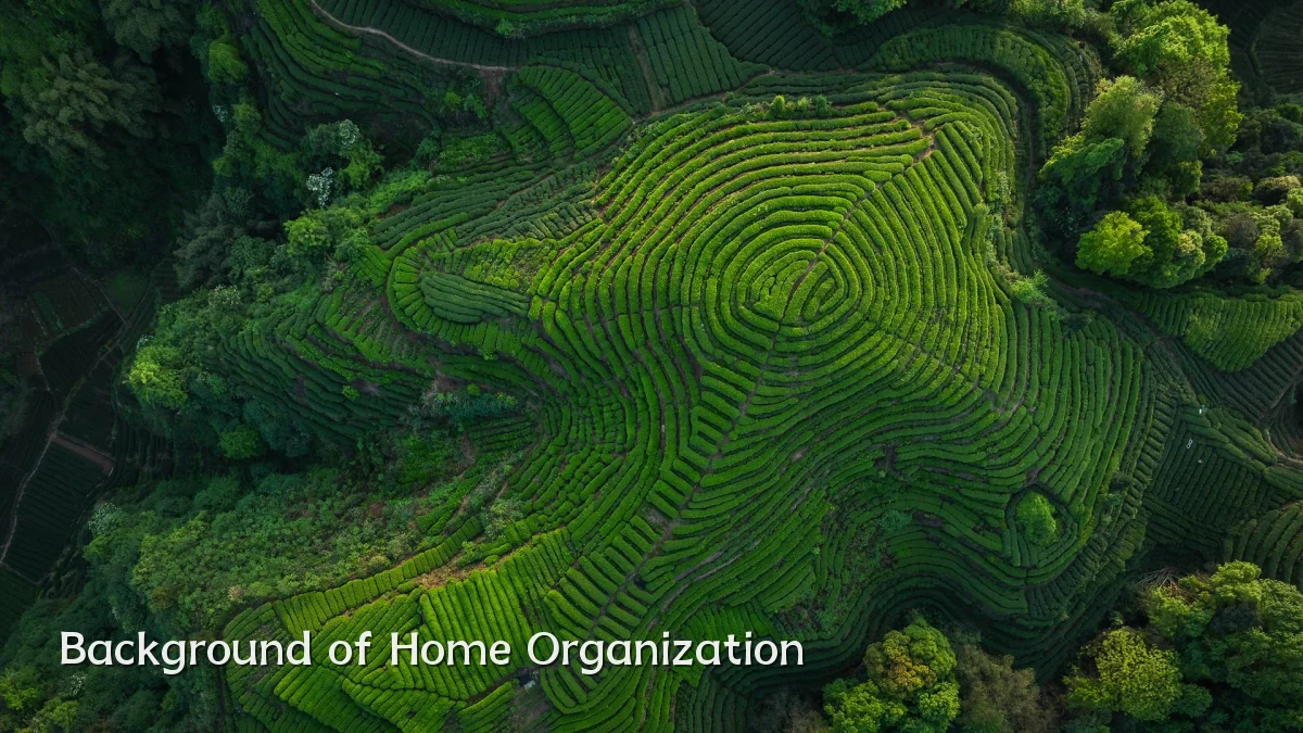 Background of Home Organization