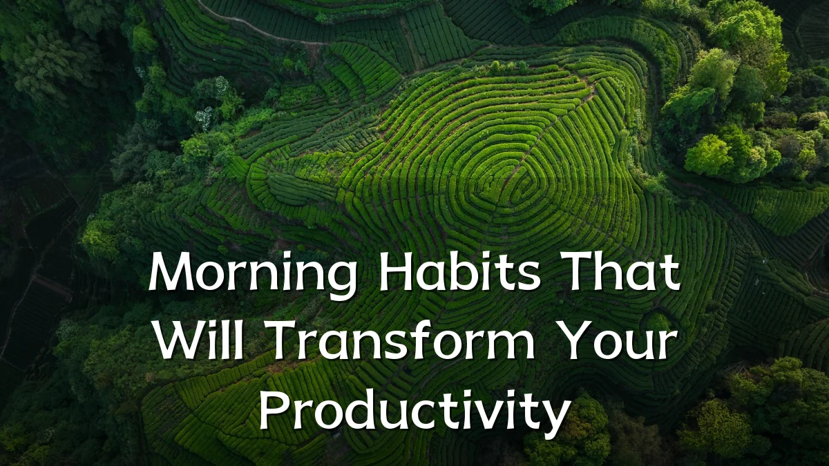 Morning Habits That Will Transform Your Productivity