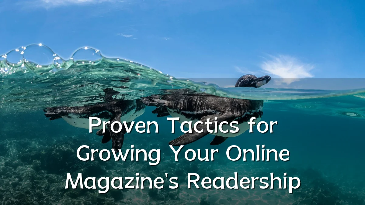 Proven Tactics for Growing Your Online Magazine's Readership