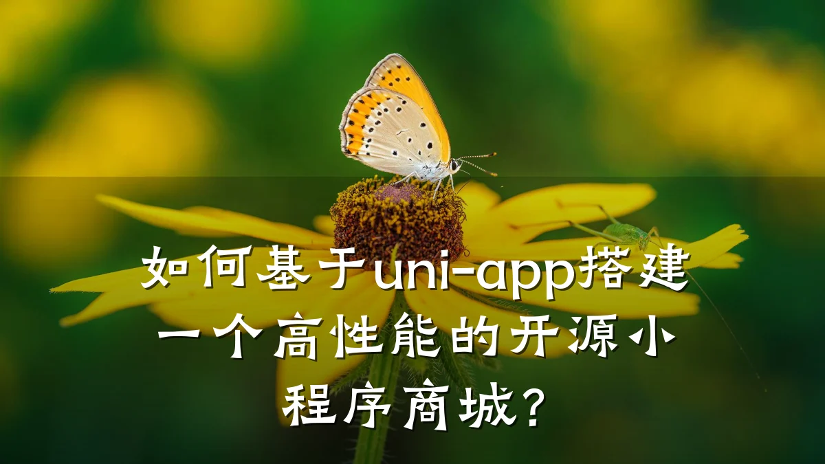 如何基于uni-app搭建一个高性能的开源小程序商城?