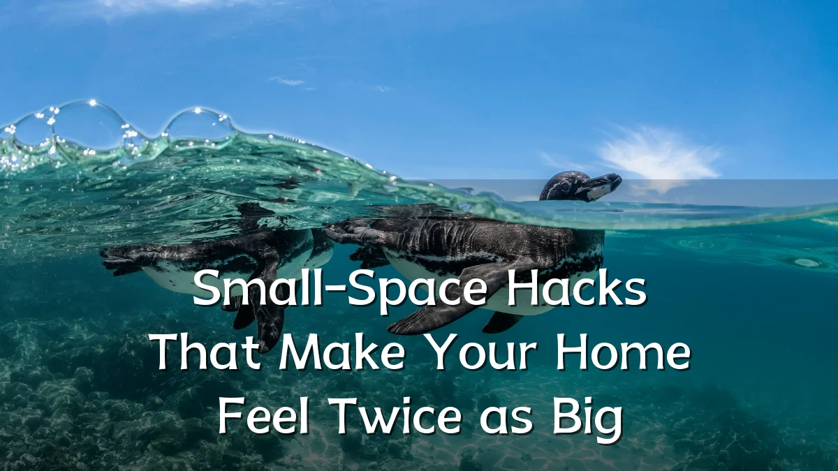 Small-Space Hacks That Make Your Home Feel Twice as Big
