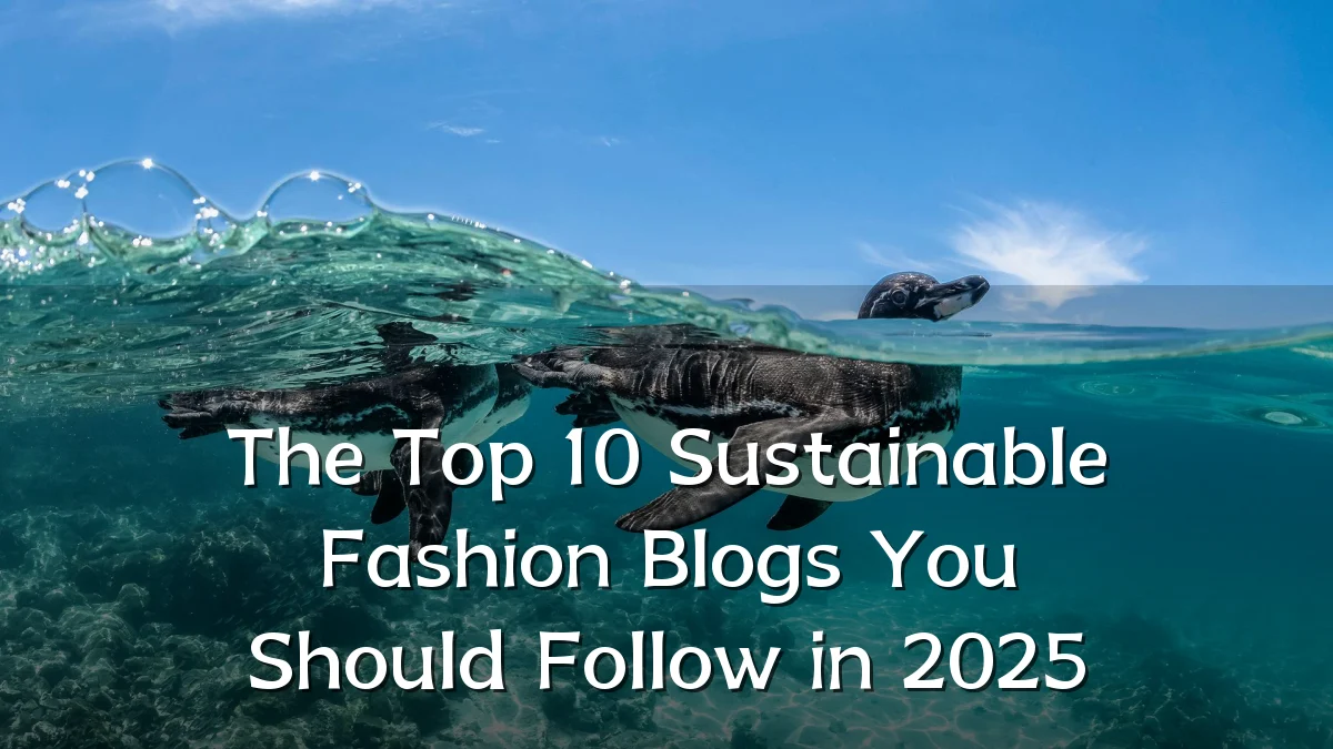 The Top 10 Sustainable Fashion Blogs You Should Follow in 2025
