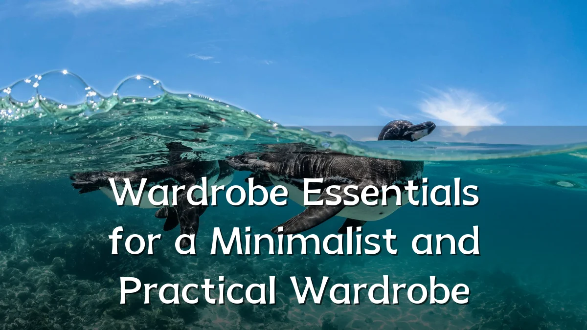 Wardrobe Essentials for a Minimalist and Practical Wardrobe