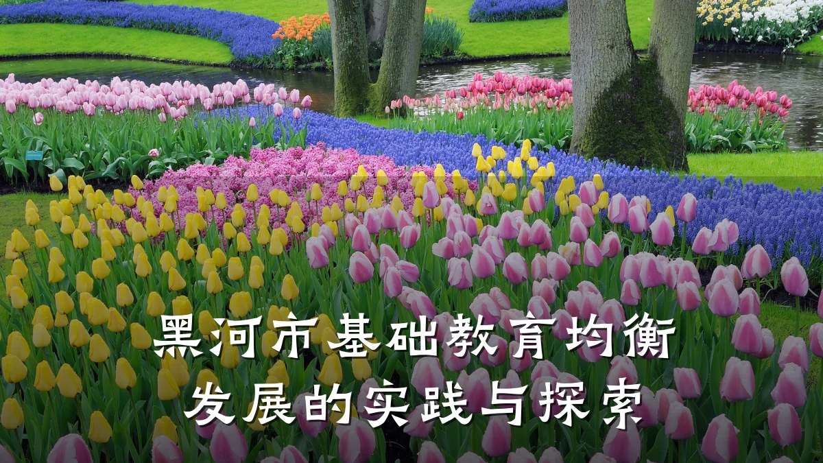 黑河市基础教育均衡发展的实践与探索