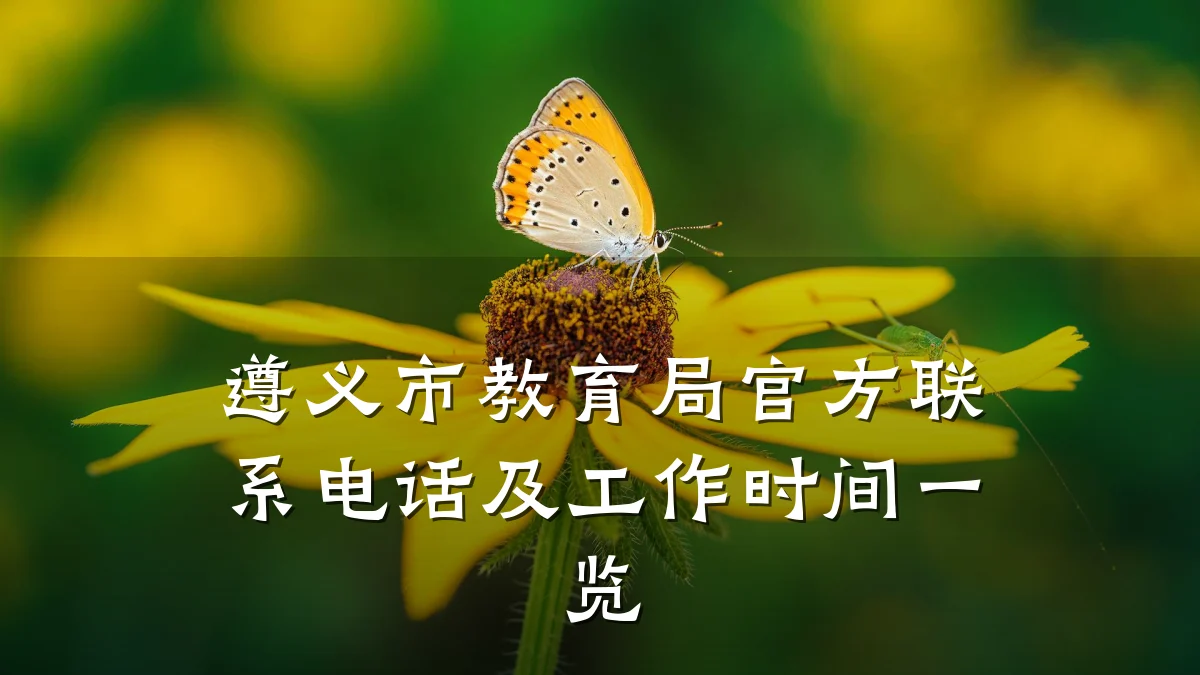 遵义市教育局官方联系电话及工作时间一览