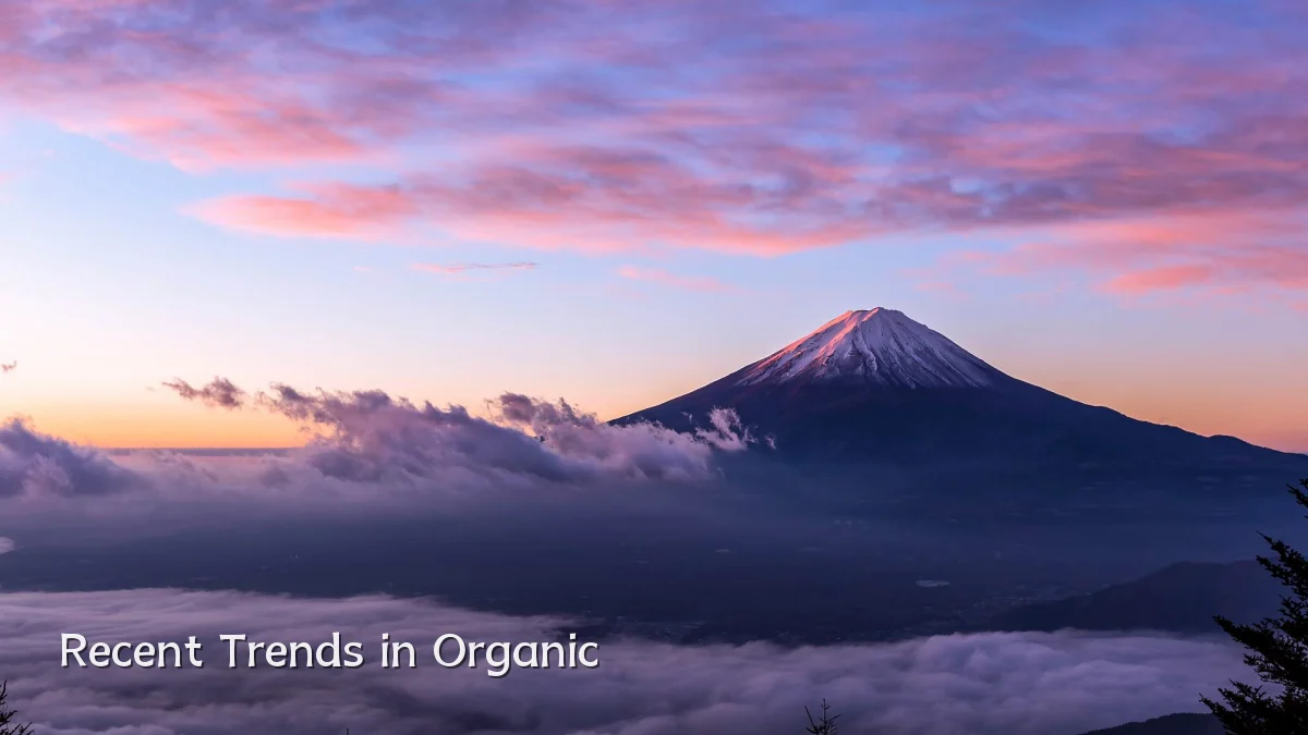 Recent Trends in Organic